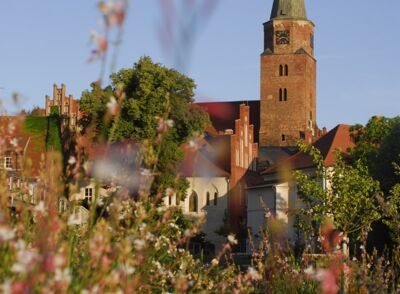 Dom St. Peter und Paul