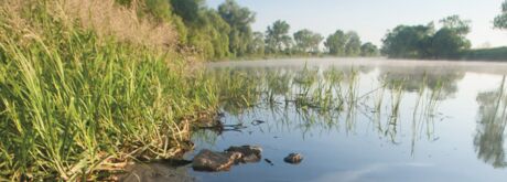 Havel River in the morning